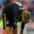 Torres eyes Europa League glory