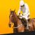 Cheltenham Day 1 Offers from Betfair